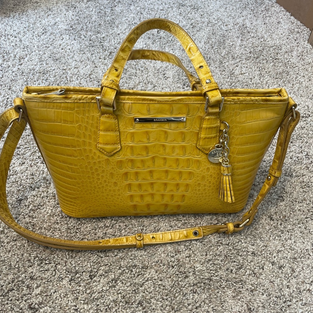 Brahmin bag!